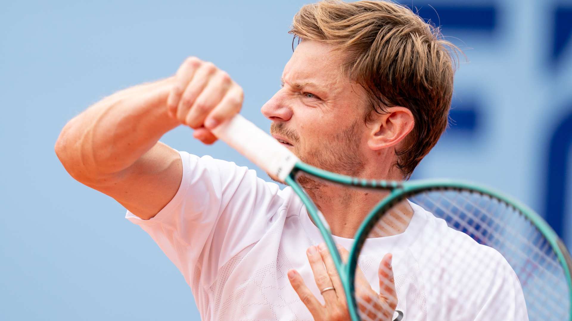 David Goffin